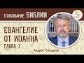 Евангелие от Иоанна. Глава 1. Андрей Солодков. Новый Завет