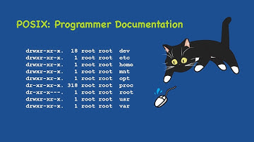 POSIX Programmer Documentation