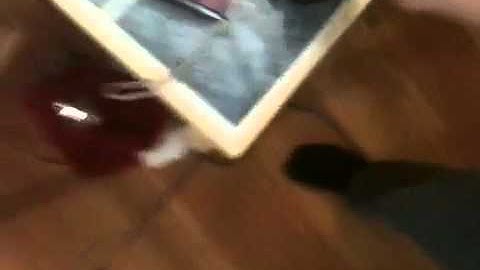 Cool infrared trick with a camera that you might not know