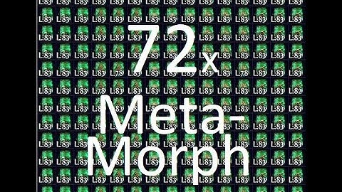 72 times Tane Metamorph [Path of Exile 3.22]