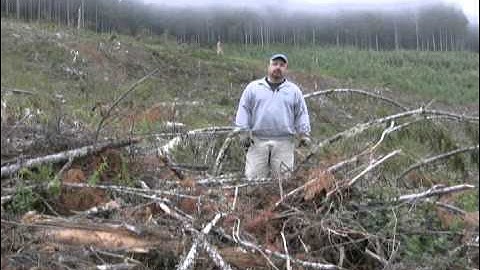 Rick - Slash Management