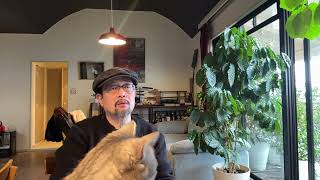 斩杀线与宰杀线：以我亲身参与的日本社会救助，聊聊中日之间社会保护网的不同｜网吧难民｜单身母亲｜homeless｜