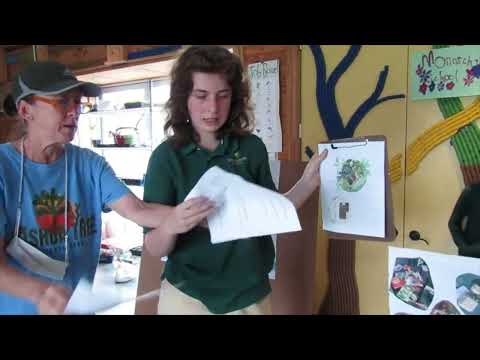 EcoRise Grant Submission from The Monarch School and Institute