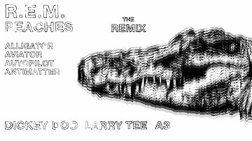 R E M   Alligator Aviator Autopilot Antimatter   Dickey Doo Larry Tee A3  remix
