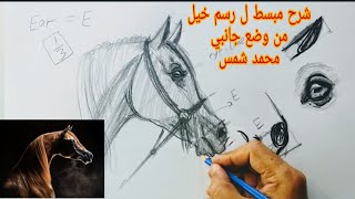 رسم مبسط لرأس الخيل من وضع جانبي ..دراستي الخاصه ..How to draw horse head side view by Mohamad Shams