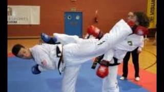 Taekwondo World Top Ten! Sparring in the ATA 2011