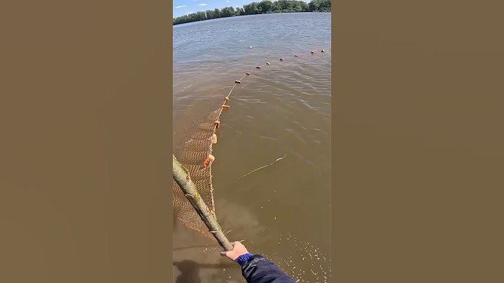Тянем невод Ловим рыбу Раньше рыбы было больше #fishing #сети #рыбалка #невод #shorts