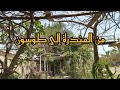 جولة من المندرة إلى طوسون وأهم التطورات فى الطريق وأهم المناطق بالتفصيل جولة من المندرة إلى طوسون وأهم التطورات فى الطريق وأهم المناطق بالتفصيل