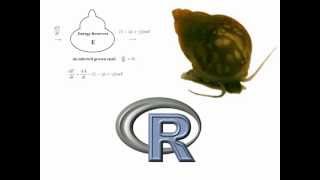Kari (Biology) gives an example of parameter estimation using R