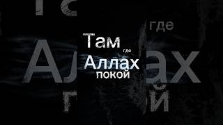 Там, где Аллах — покой 🔥 #напоминание #allah #субханаллах #топ #faithechoe #аллоху #знания #коран