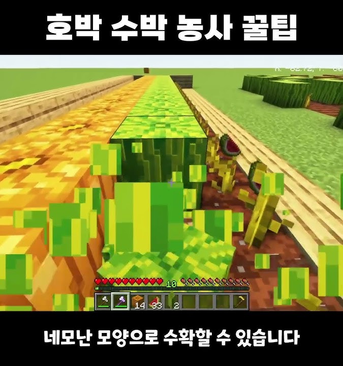 마크 초보를 위한 호박 수박 농사 꿀팁  [마크 꿀팁11]