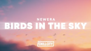NewEra - Birds In The Sky (Lyrics)