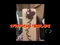 くるりくるり「木のおもちゃ」