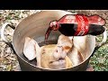 Delicious Roasted Pig Head with Coca Cola – Pig Head Cooking with Coca Cola