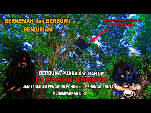 BERKEMAH u0026 BERBURU IKAN LEMBAT SENDIRIAN‼️ Berbuka puasa, sahur dan tidur di pohon u0026 hutan angker... class=