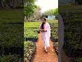 Plant nursery 🪴#nature #plants #trees#enjoying #climate  #ytshorts  #trending #youtubeshorts