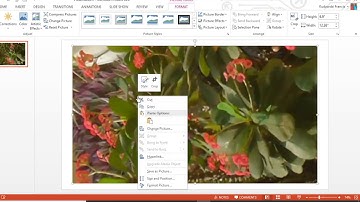 How to crop a picture to a given aspect ratio in PowerPoint