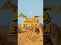 AHMED ET MUFA LES GIRAFES 💀