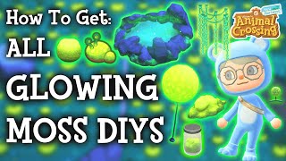 How To Get Every Glowing Moss DIY | Animal Crossing New Horizons Resimi