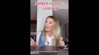WATCH LIVE: Johnny Depp v Amber Heard Defamation Trial Day 20