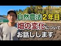 【農業】自然農法2年目で感じた畑の変化についてお話しします！