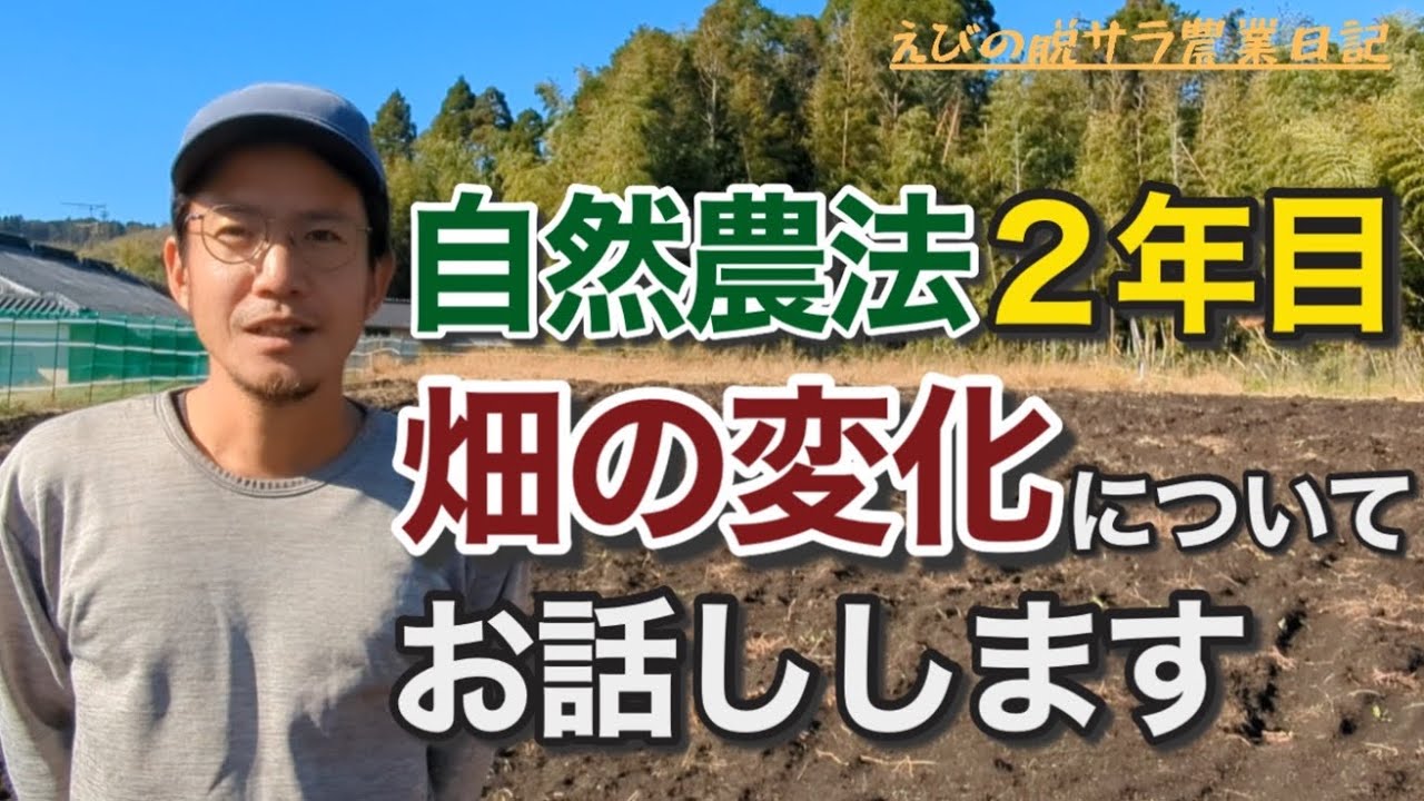 【農業】自然農法2年目で感じた畑の変化についてお話しします！