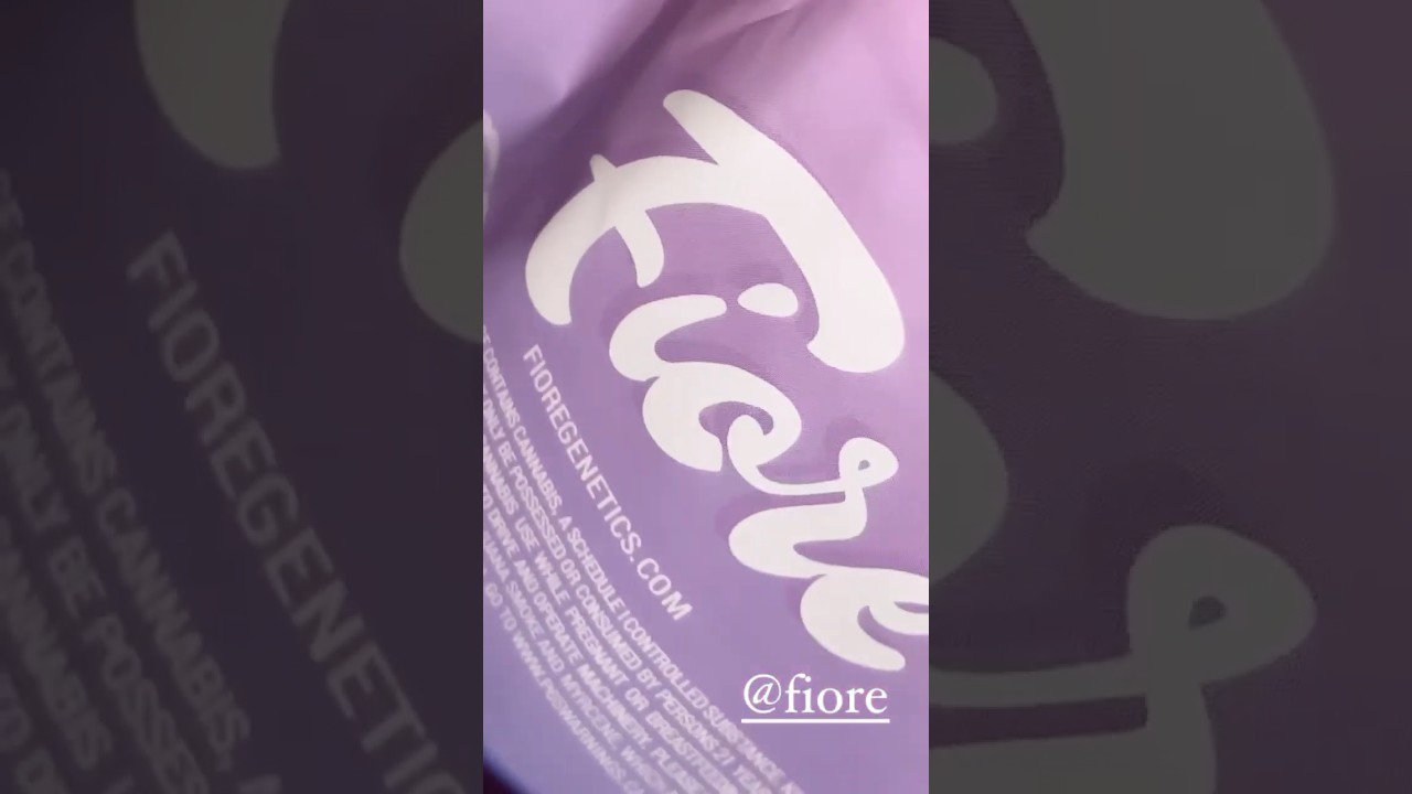 Fiore by Fiore Genetics - Strain Review 🔥⛽️😍👀