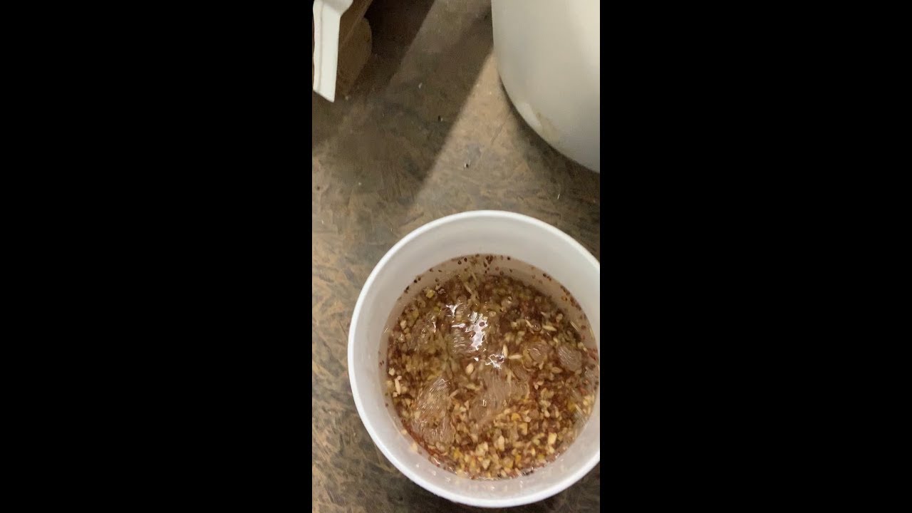 cheap mealworms for chickens How I Ferment My Chicken Feed (and Other Things I Add from Time to Time)