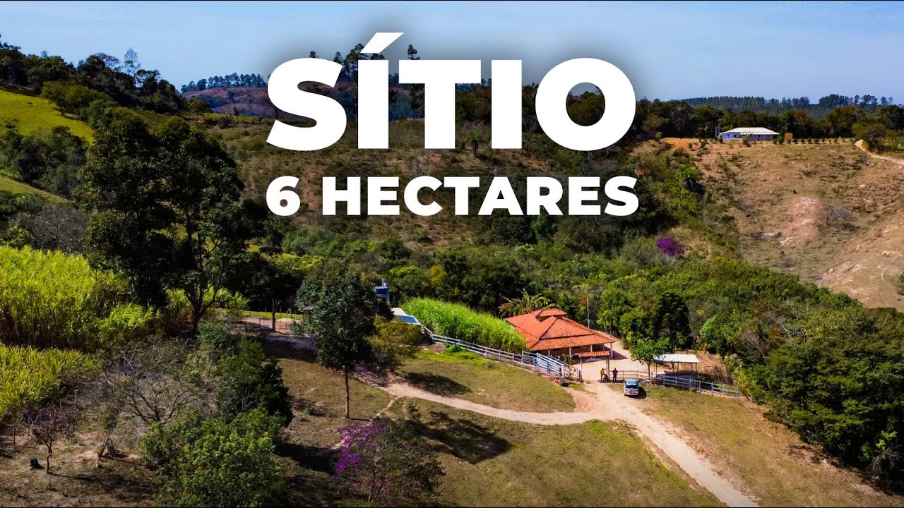 SÍTIO 6 HECTARES, CASA E CURRAL | R$ 450 MIL