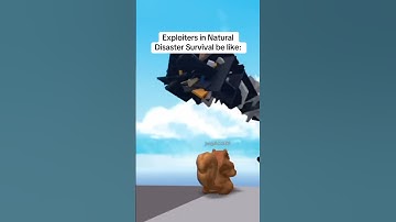 Exploiters in Natural Disaster Survival be like: