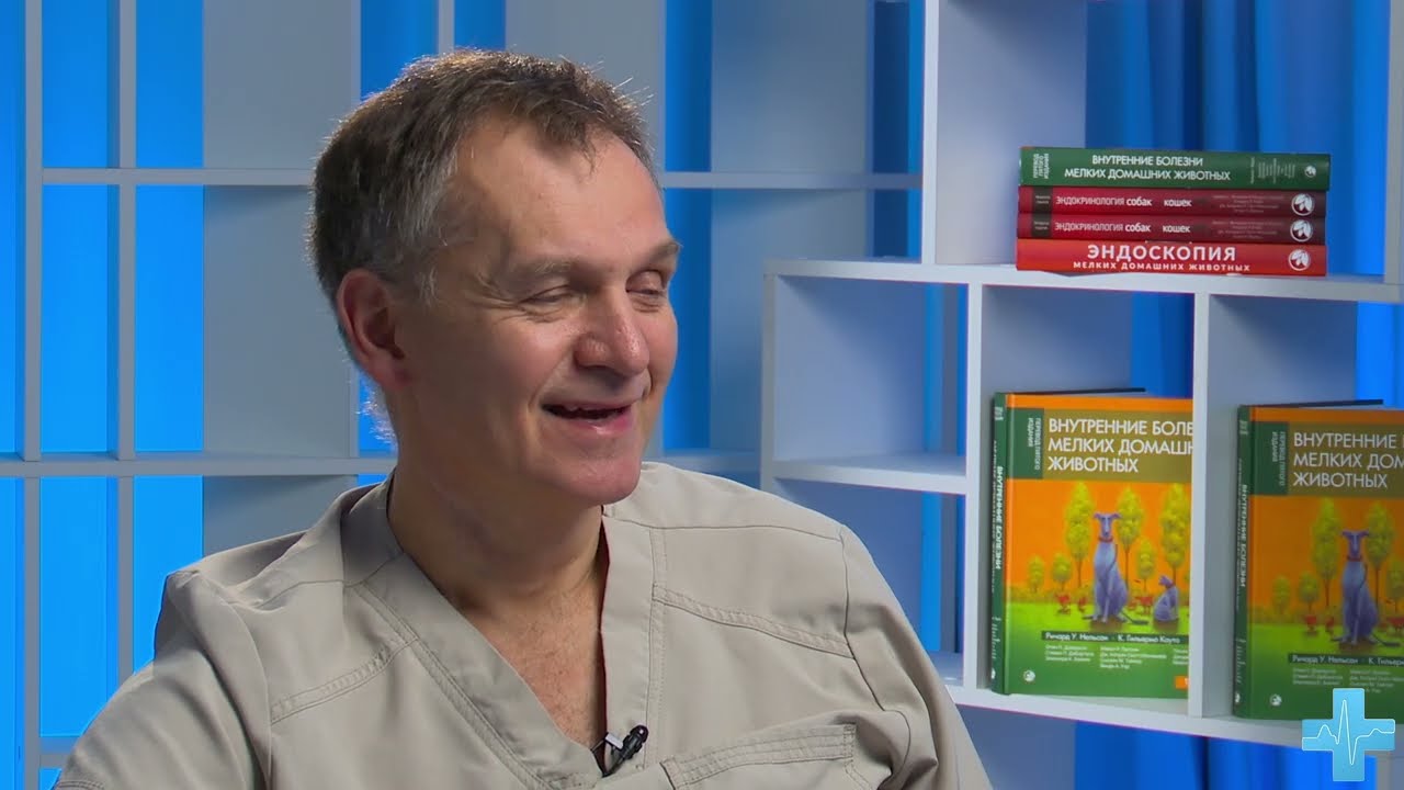 Подключаем эндоскопическую камеру к компьютеру