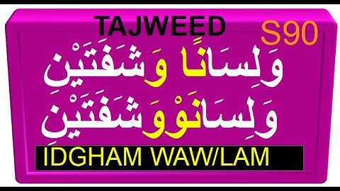 SURAH  90 ALBALAD سورة البلد AYAH 8 TO 10 WITH TAJWEED RULES