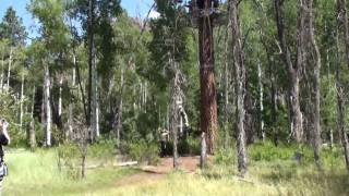 Soaring Treetop Adventure Sampler 2009