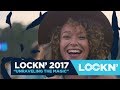 Unraveling the Magic Behind LOCKN' 2017 | Relix