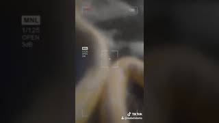 Celebrity ball python bubble bath Profile