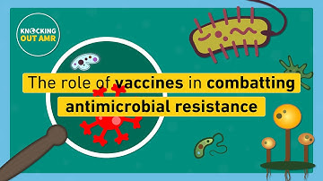 The role of vaccines in combatting antimicrobial resistance