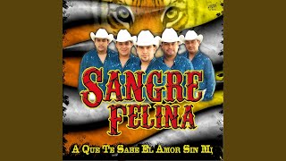 Video thumbnail of "Sangre Felina - A Que Te Sabe El Amor Sin Mi"