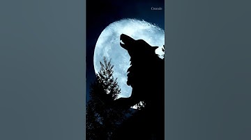 Thumbnail of Hombre Lobo Aullando