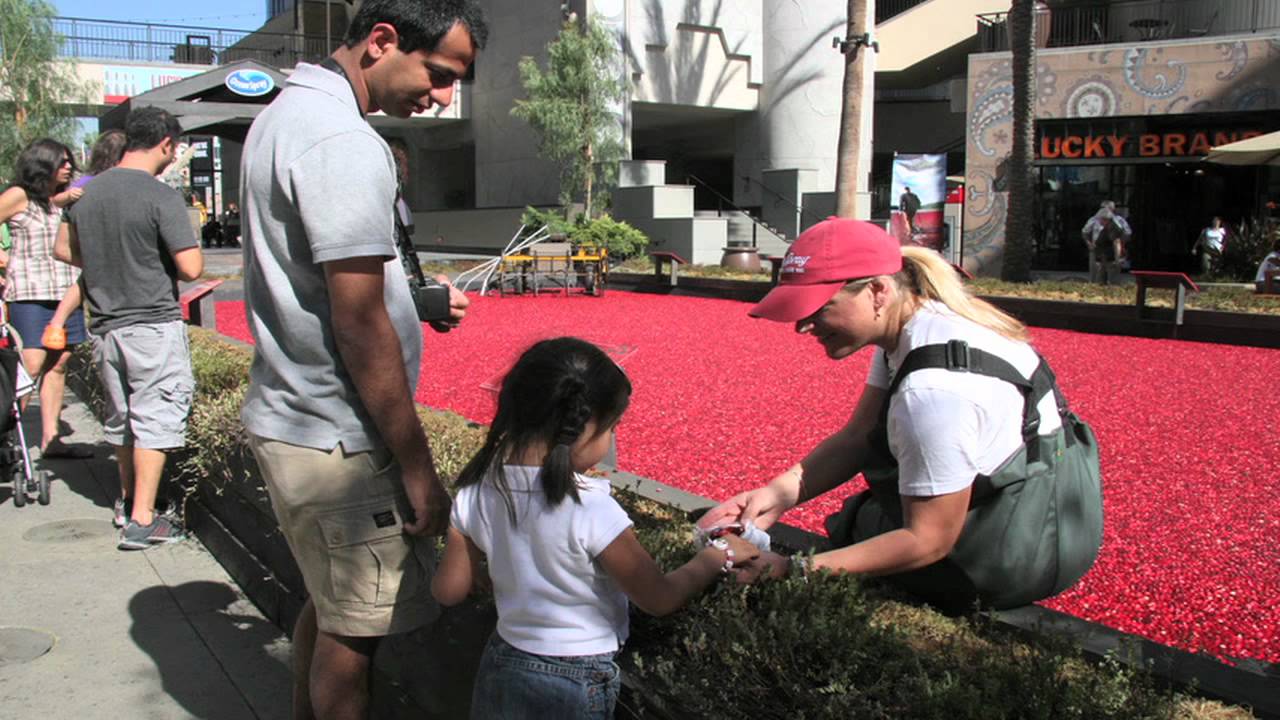 Hollywood & Highland Center Teaser