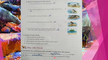 Class _ 2 English Literature Chapter _ 15 There Was Once a Puffin {Book Exercise} #by Sarika Khare