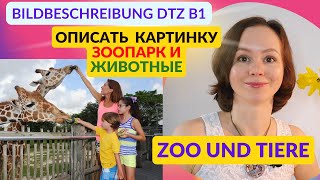 Описать картинку на немецком. Зоопарк и животные. Экзамен DTZ A2 В1 Goethe Bildbeschreibung