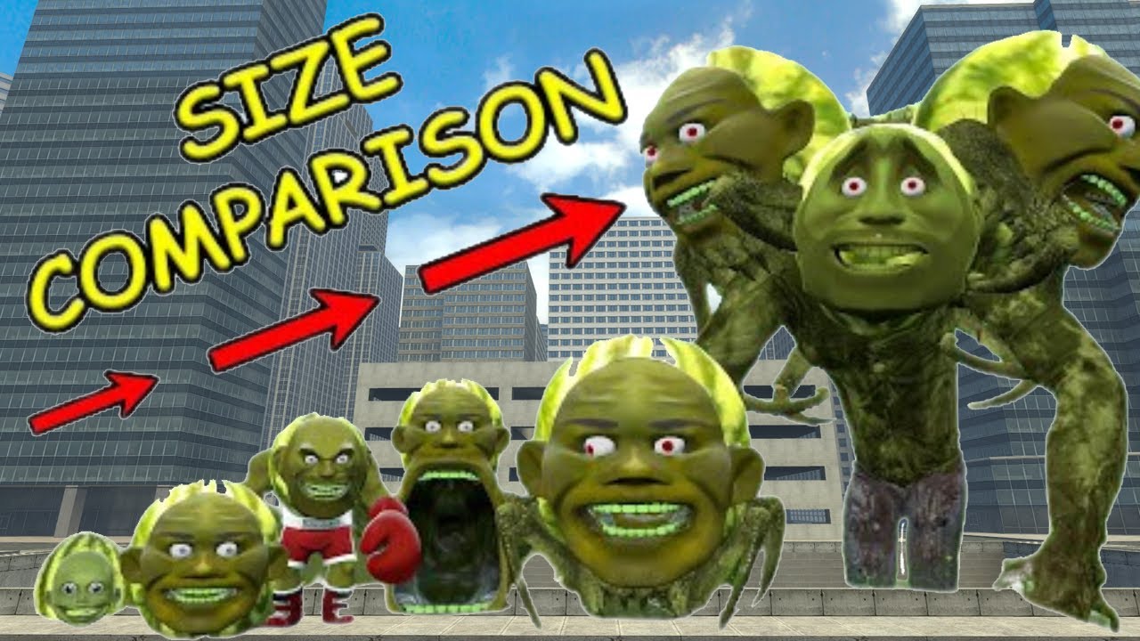 NEW ALL SIZE COMPARISON OF ALL LIN GANG MELON FAMILY & ITALIAN BRAINROT ANIMALS MEMES in GMod