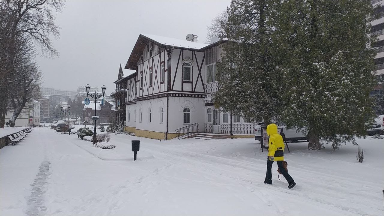 Развальные шайбы калина