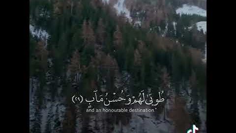 سورة الرعد للقارئ عبدالرحمن مسعد