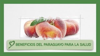 Beneficios del PARAGUAYO para la salud