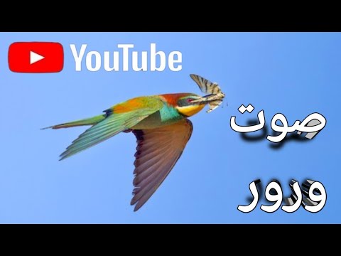 صوت ورور 2025