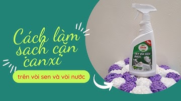 Cách làm sạch cặn canxi ở sen vòi inox