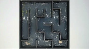 Expérience - BLOB - résolution de labyrinthe n°1