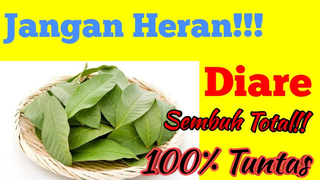 Cara Mengatasi Diare / Mencret Dengan Bahan Alami Rebusan Daun Ajaib