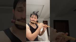 Kate Nahin Kat Te Mr. India Flute Cover Fluteworm